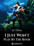 i-just-wont-play-by-the-book-193×278.jpg
